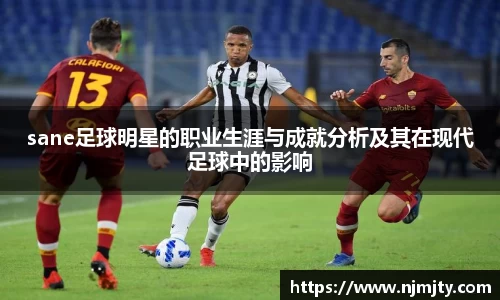 sane足球明星的职业生涯与成就分析及其在现代足球中的影响